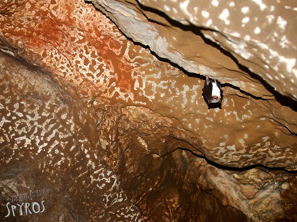Márnikova jaskyňa