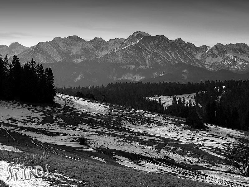 Vysoké Tatry z poľany Šimkovka