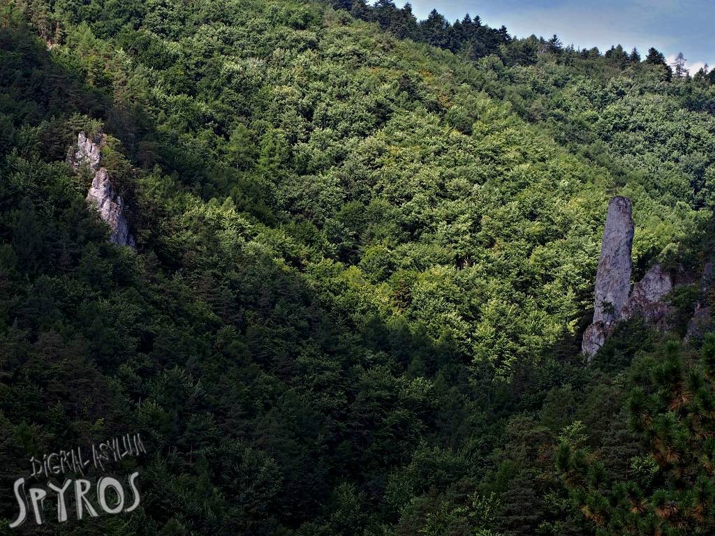 Lačnovský kaňon (NPR Kamenná baba) - Mojžíšov stĺp