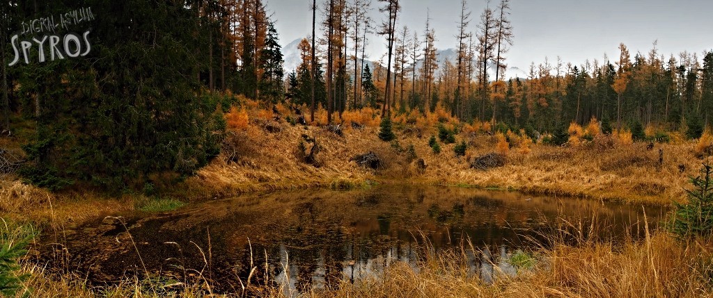 Štôlske Čierne pleso