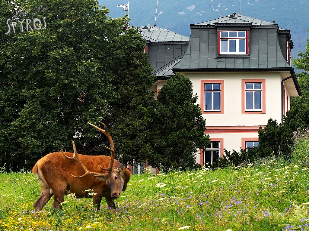 Apartmány Stará Morava